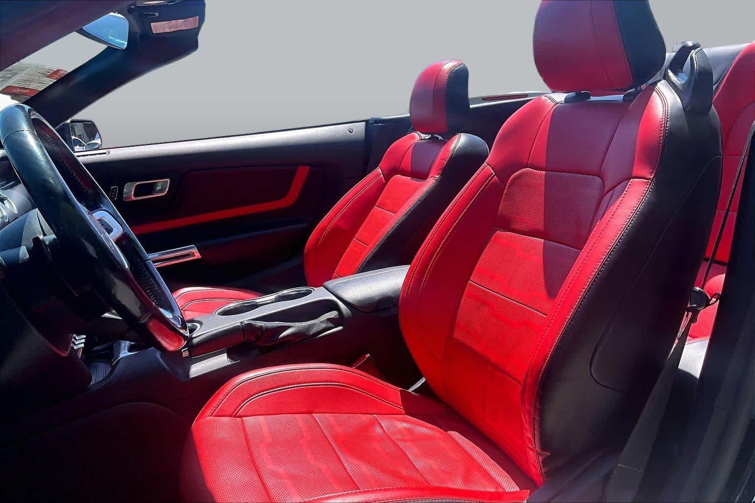 Used 2019 Ford Mustang Premium w/ Equipment Group 201A RWD image 8