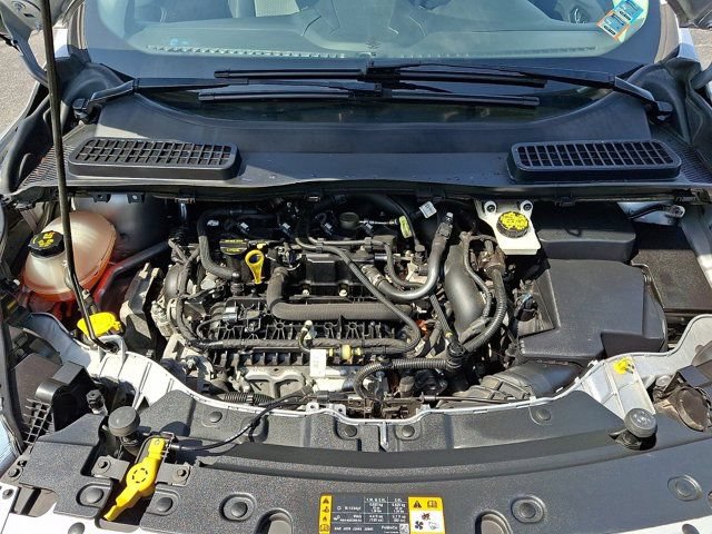 Used 2019 Ford Escape SE AWD/4WD image 32