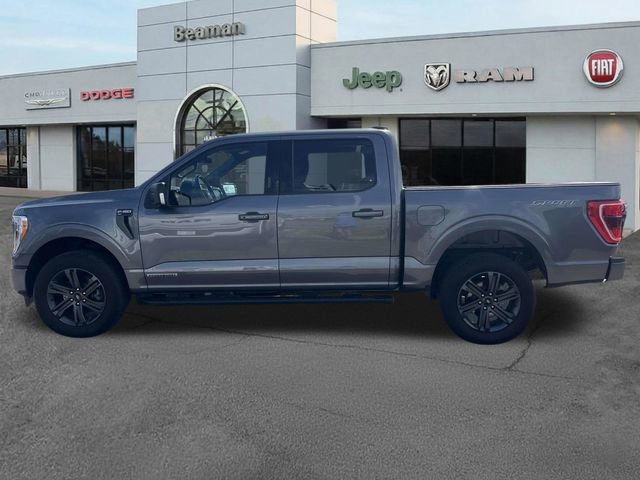 Used 2023 Ford F150 XLT w/ Equipment Group 302A High AWD/4WD image 4