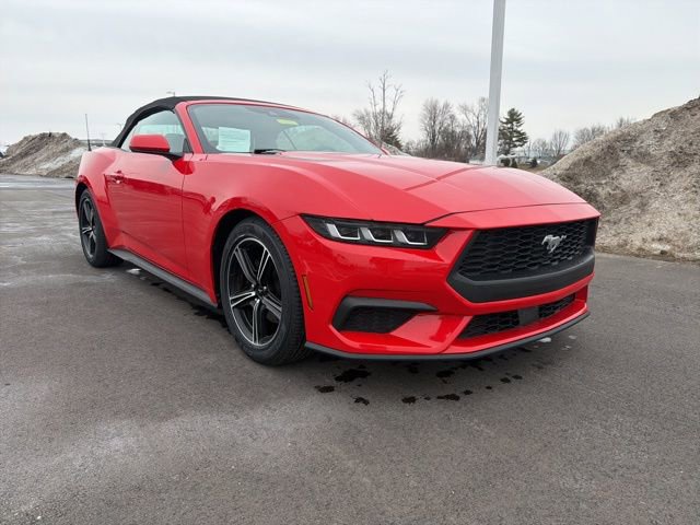 Used 2024 Ford Mustang Premium image 2
