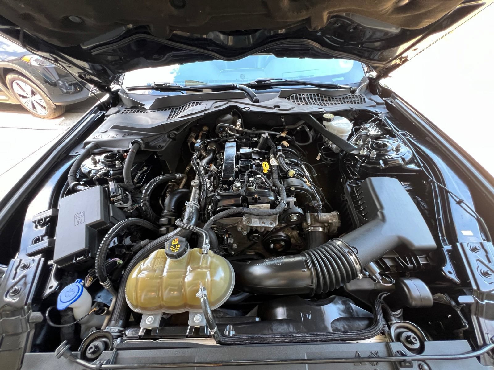 Used 2022 Ford Mustang Premium RWD image 21