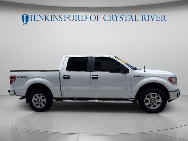 Used 2013 Ford F150 XLT w/ XLT Chrome Pkg AWD/4WD image 3