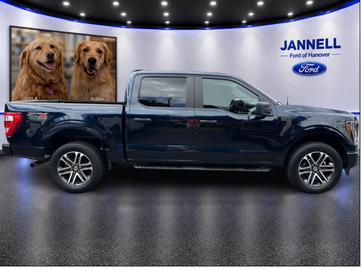 Used 2023 Ford F150 XL w/ STX Appearance Package AWD/4WD image 4