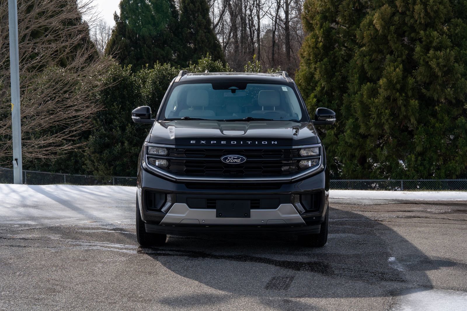 Used 2025 Ford Expedition Max Platinum image 4