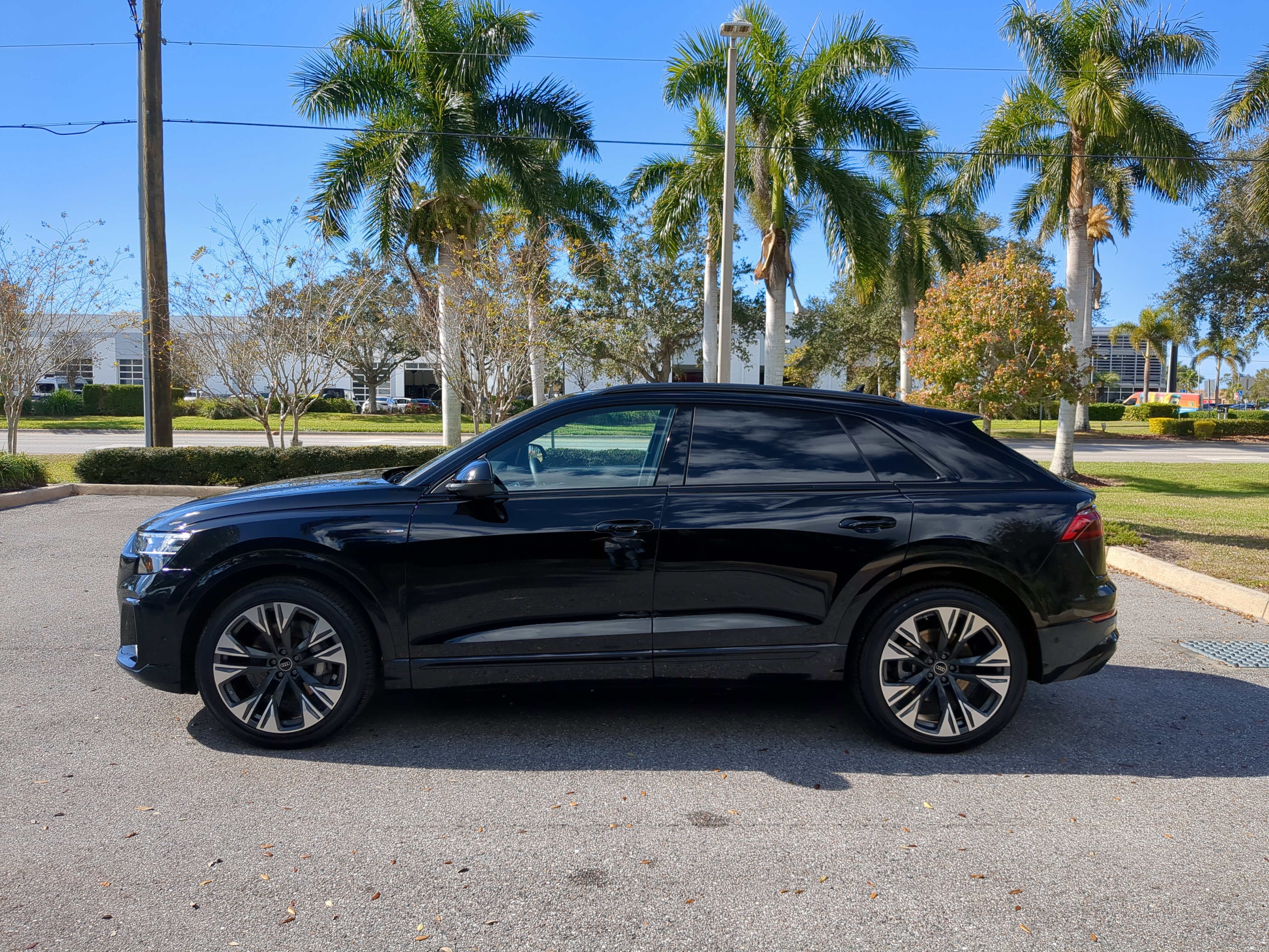 Used 2025 Audi Q8 Premium Plus w/ Premium Plus Package image 7