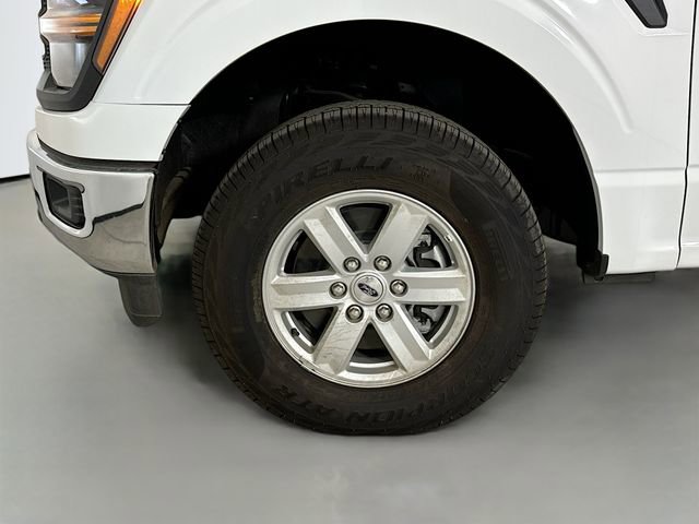 New 2024 Ford F150 XL w/ Equipment Group 103A High image 29