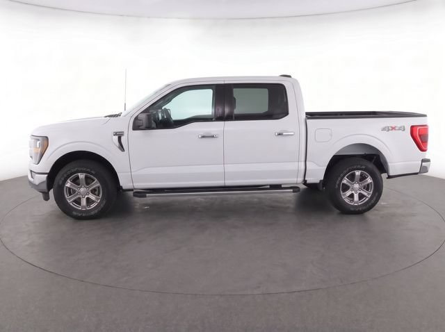 Used 2025 Ford F150 XLT w/ Equipment Group 301A Standard AWD/4WD image 6