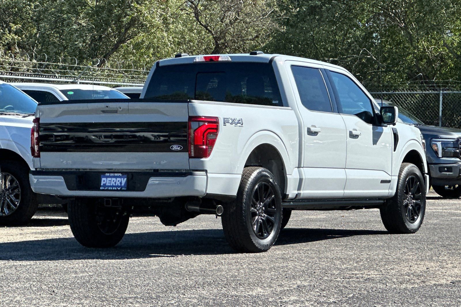 New 2026 Ford F150 Platinum image 3