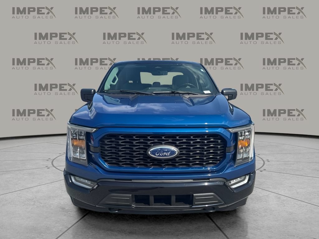 Used 2023 Ford F150 XLT w/ Equipment Group 302A High AWD/4WD image 5
