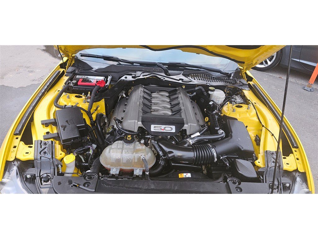 Used 2017 Ford Mustang GT w/ Black Accent Package image 8