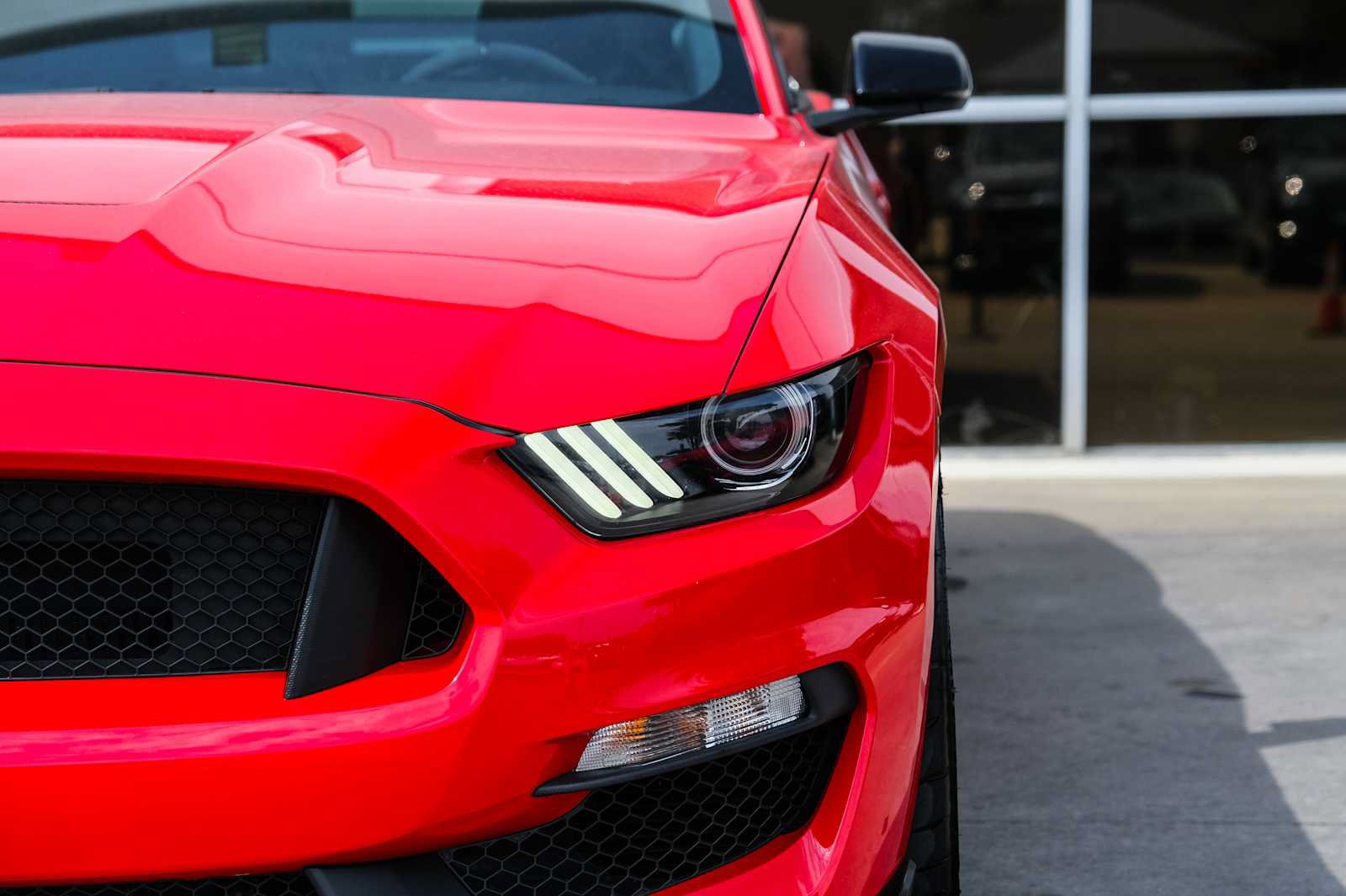 Used 2016 Ford Mustang Shelby GT350 w/ Technology Package RWD image 4