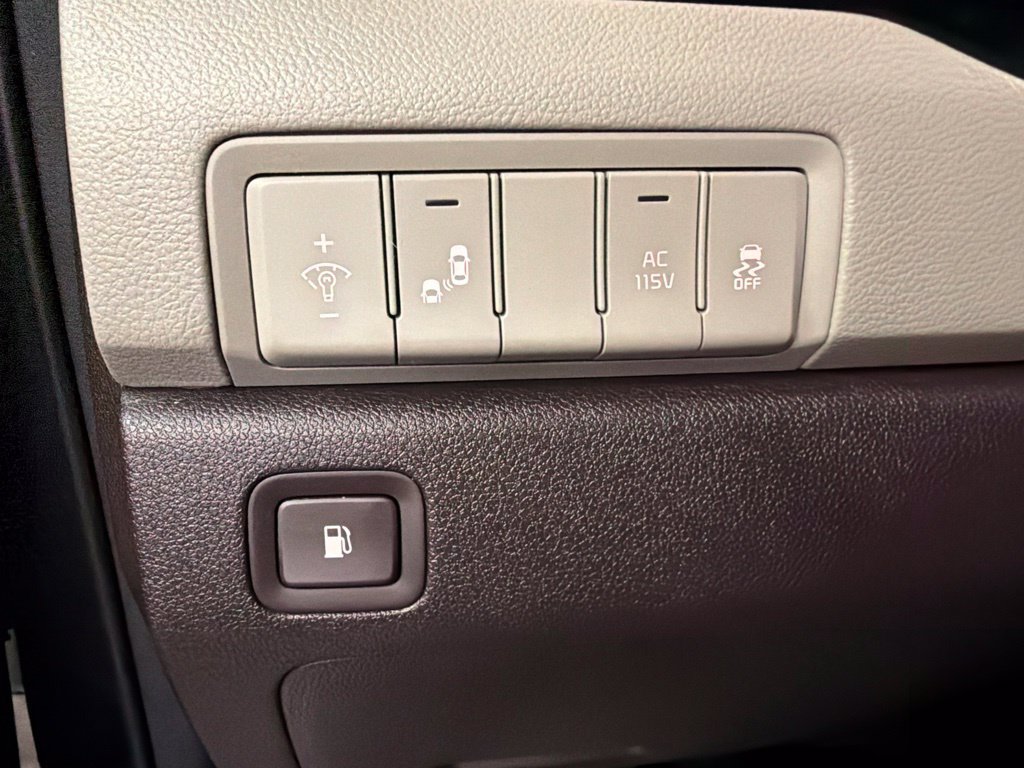 Used 2016 Kia Sedona SX Limited FWD image 21