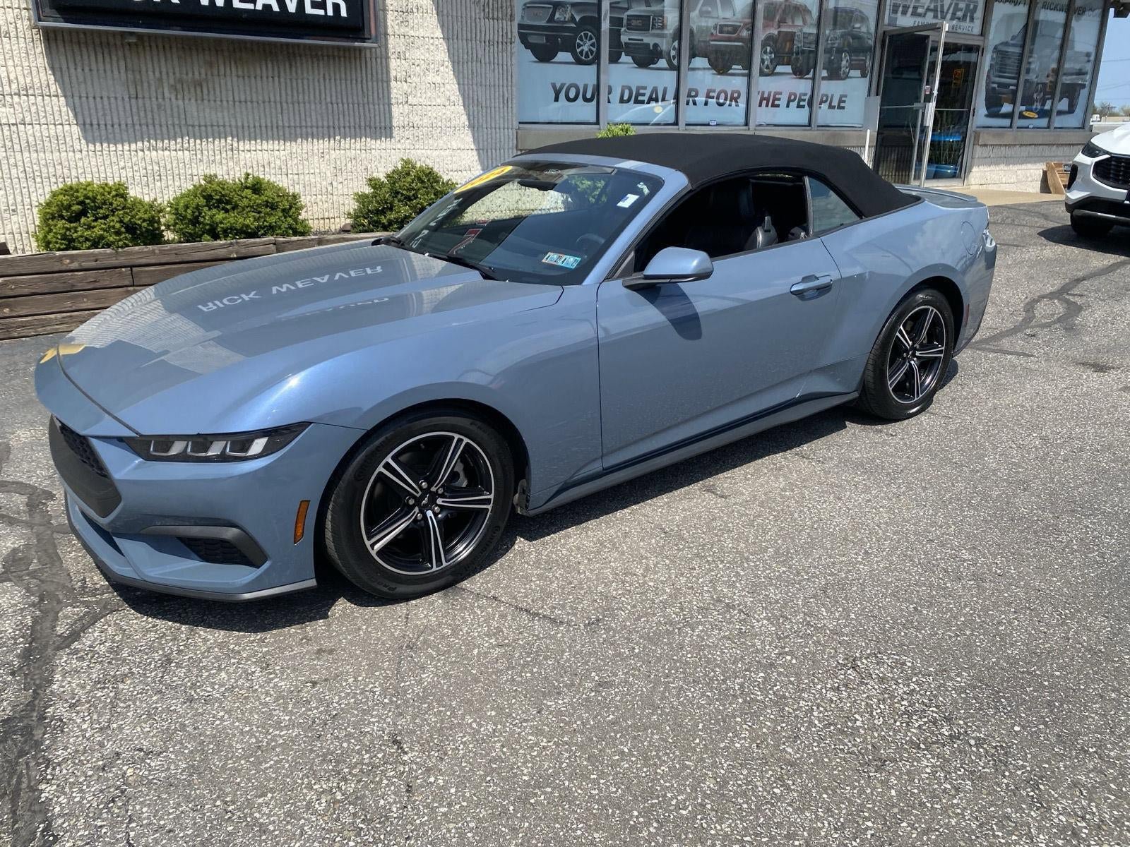 Used 2024 Ford Mustang Premium RWD image 3