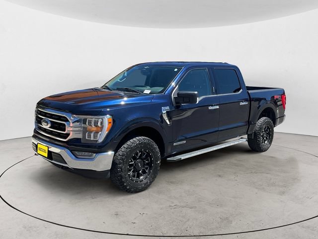 Used 2023 Ford F150 XLT w/ Equipment Group 302A High AWD/4WD image 1