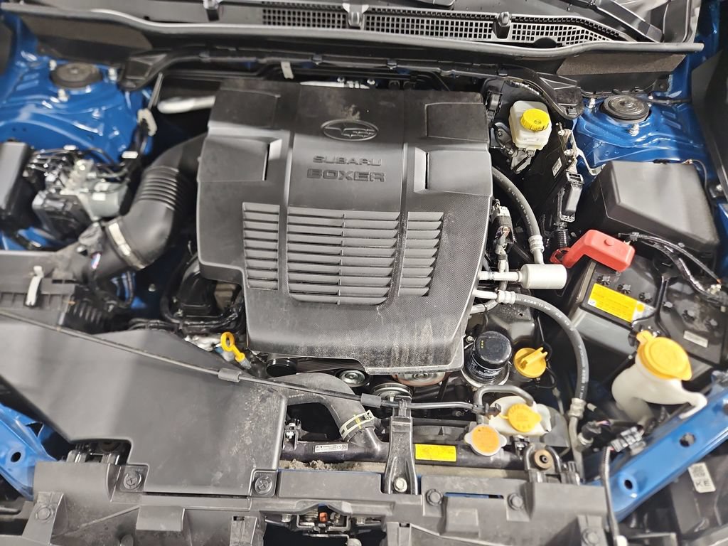 Certified 2025 Subaru Forester Wilderness AWD/4WD image 24