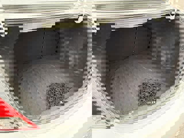 Used 2016 Hyundai Accent SE image 27