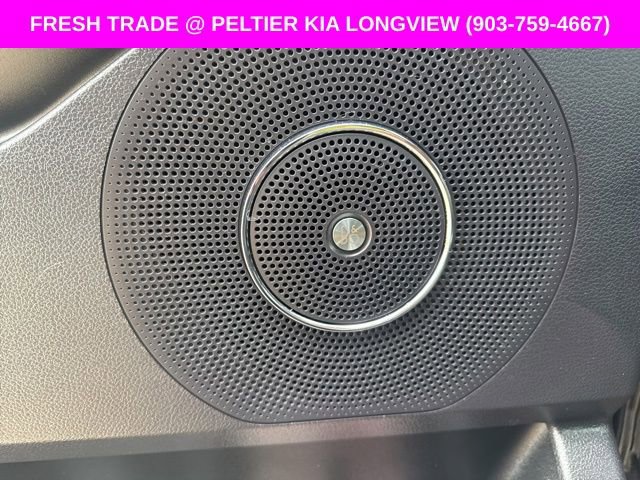 Used 2019 Ford Expedition Platinum image 18