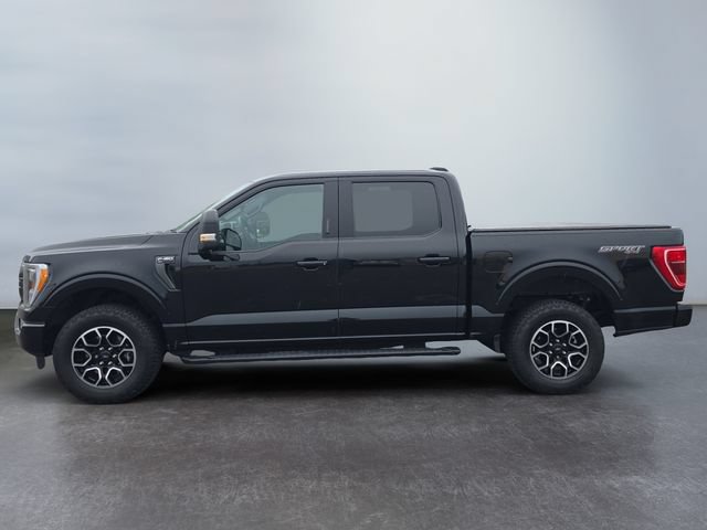 Used 2023 Ford F150 XLT w/ Equipment Group 302A High AWD/4WD image 2