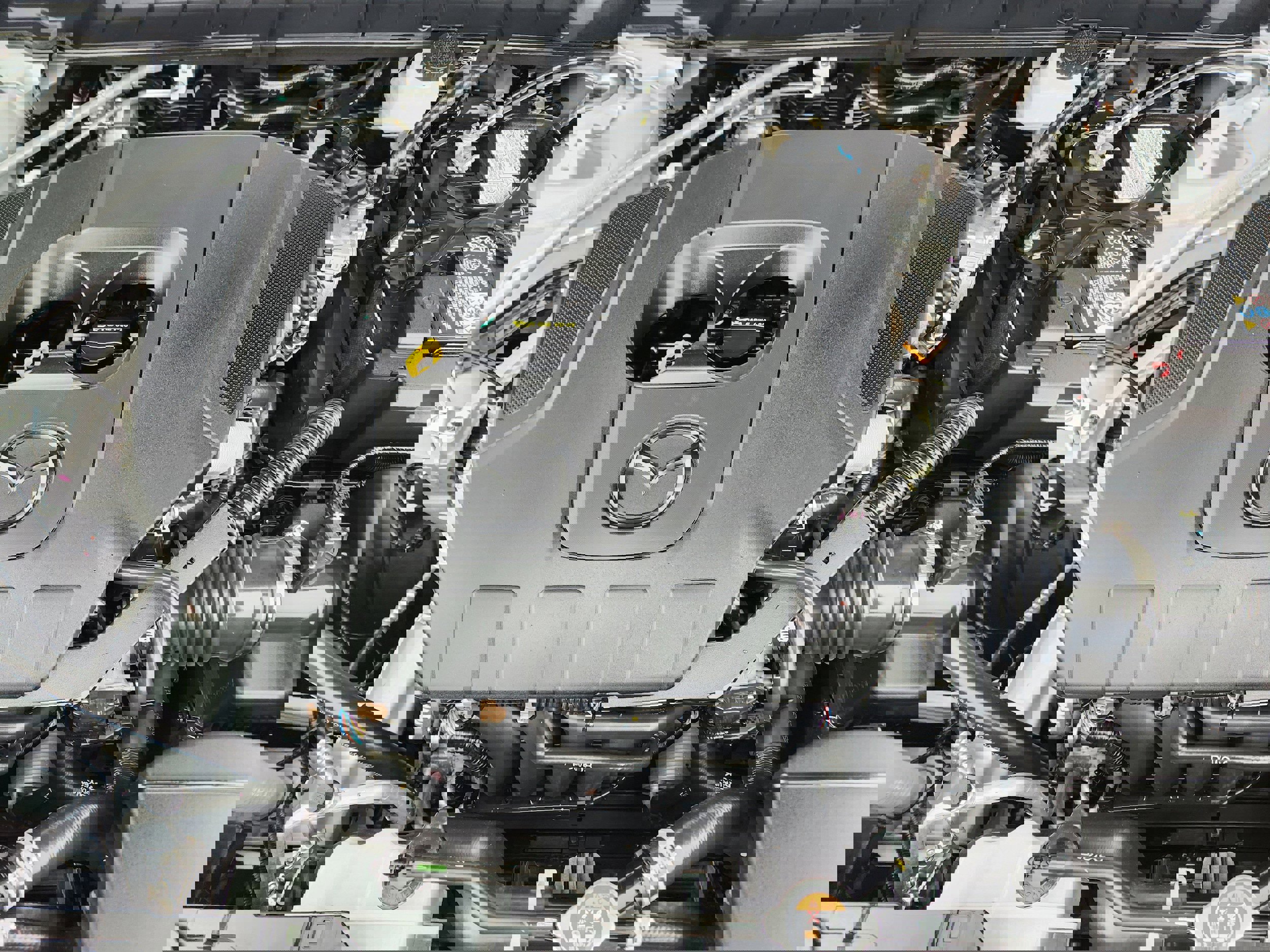 Certified 2025 MAZDA CX-50 AWD 2.5 S w/ Weather Package image 9