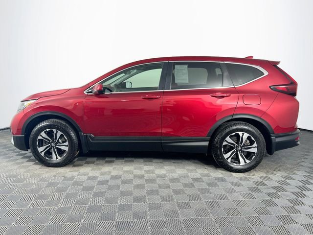 Used 2022 Honda CR-V Special Edition image 3