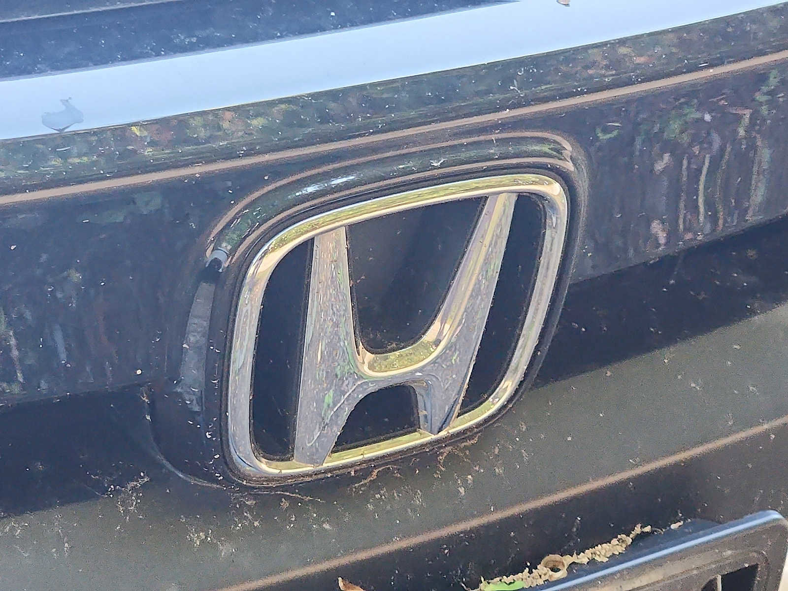 Used 2019 Honda Civic LX image 4