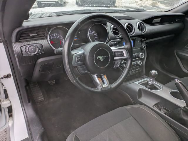 Used 2019 Ford Mustang Coupe RWD image 8