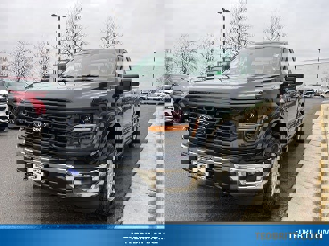 Used 2025 Ford F150 XL w/ Equipment Group 103A High image 3