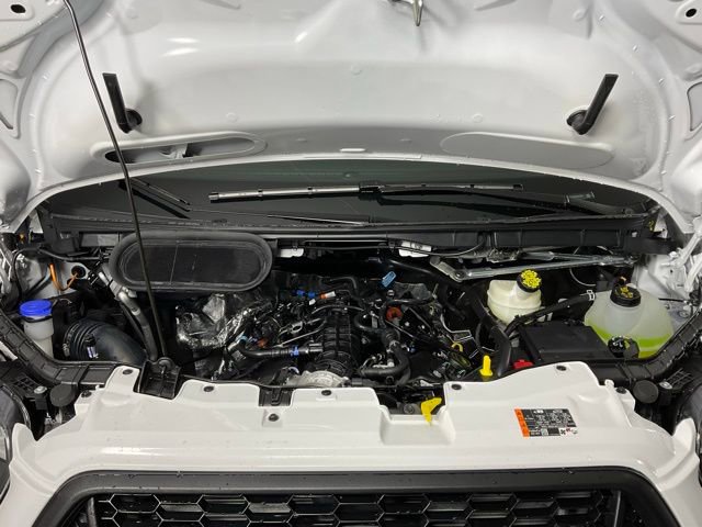 New 2026 Ford Transit 250 Low Roof w/ Load Area Protection Package image 9