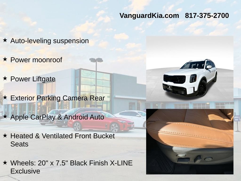 Used 2025 Kia Telluride SX Prestige X-Line image 12