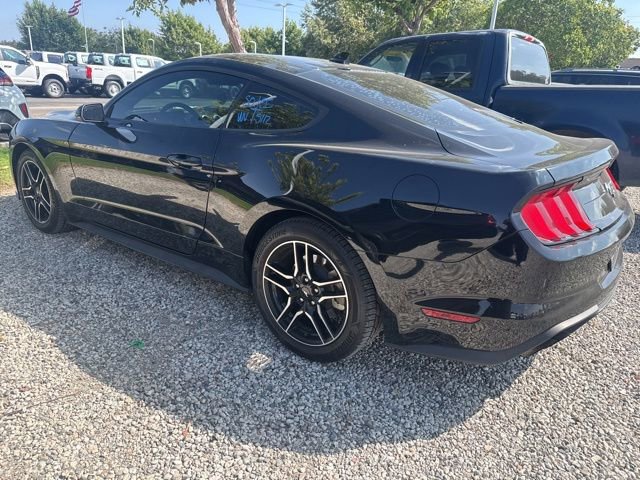 Used 2022 Ford Mustang Coupe w/ Equipment Group 101A RWD image 2