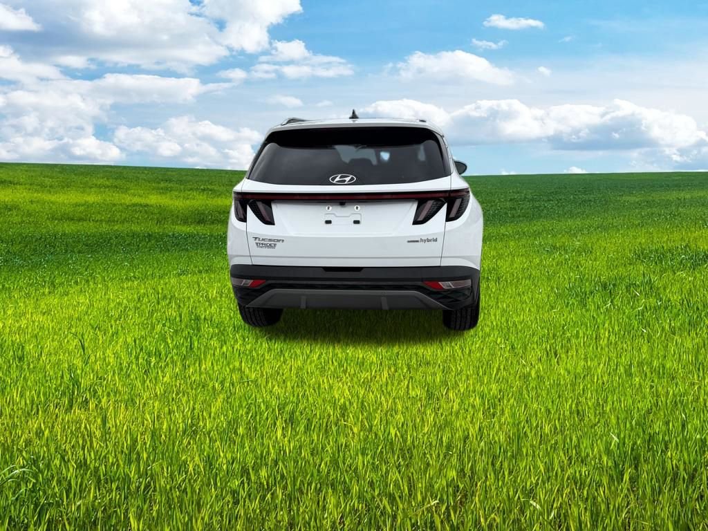 Used 2024 Hyundai Tucson Limited AWD/4WD image 6