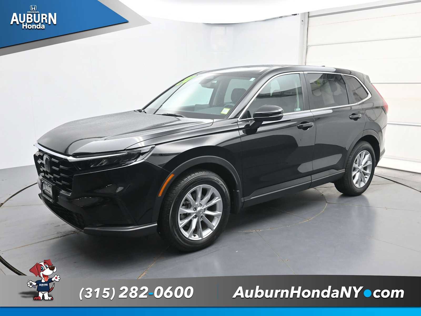 Used 2024 Honda CR-V EX image 2