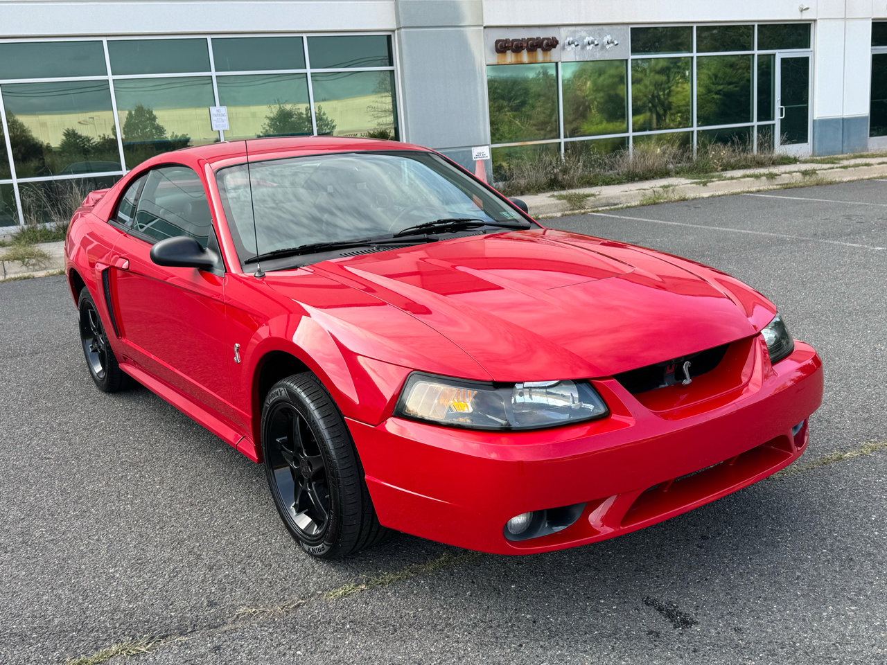 Used 1999 Ford Mustang Cobra
