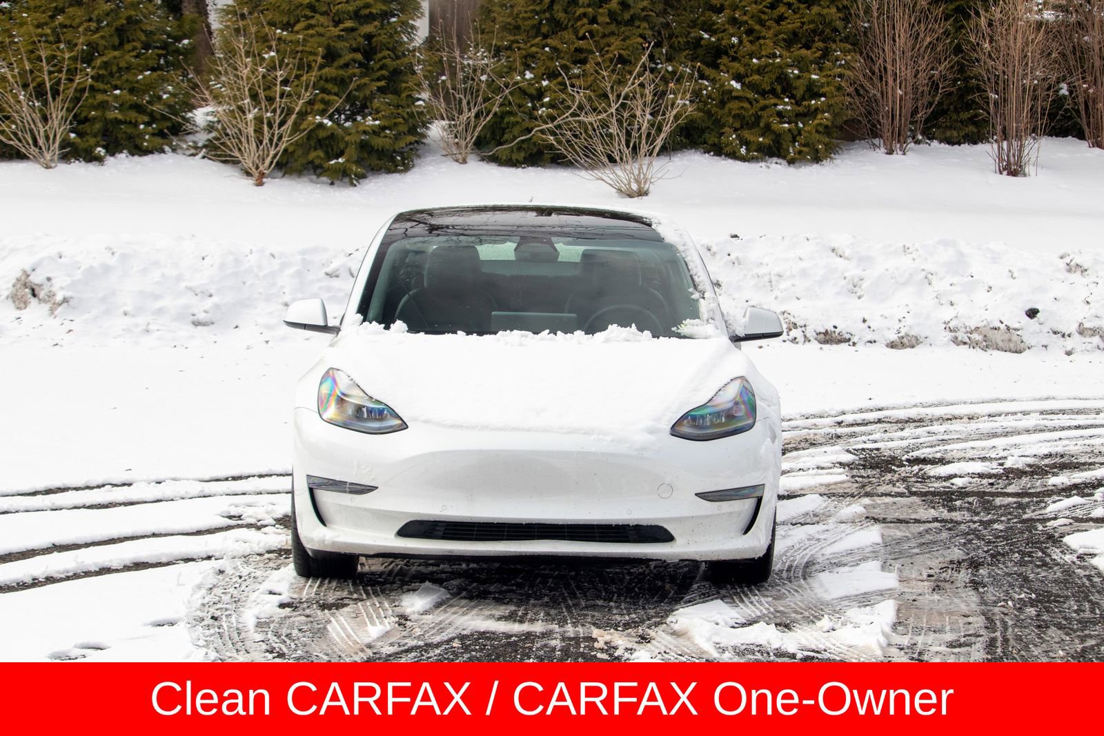 Used 2022 Tesla Model 3 Standard Range image 2