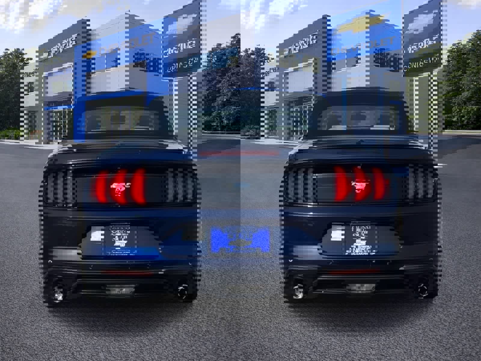 Used 2019 Ford Mustang Premium image 5