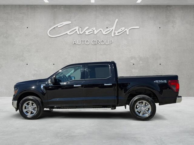 Certified 2025 Ford F150 XLT w/ Equipment Group 301A Standard image 13