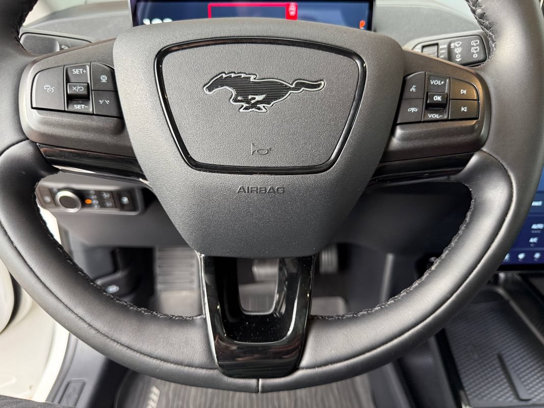 Used 2023 Ford Mustang Mach-E California Route 1 AWD/4WD image 30