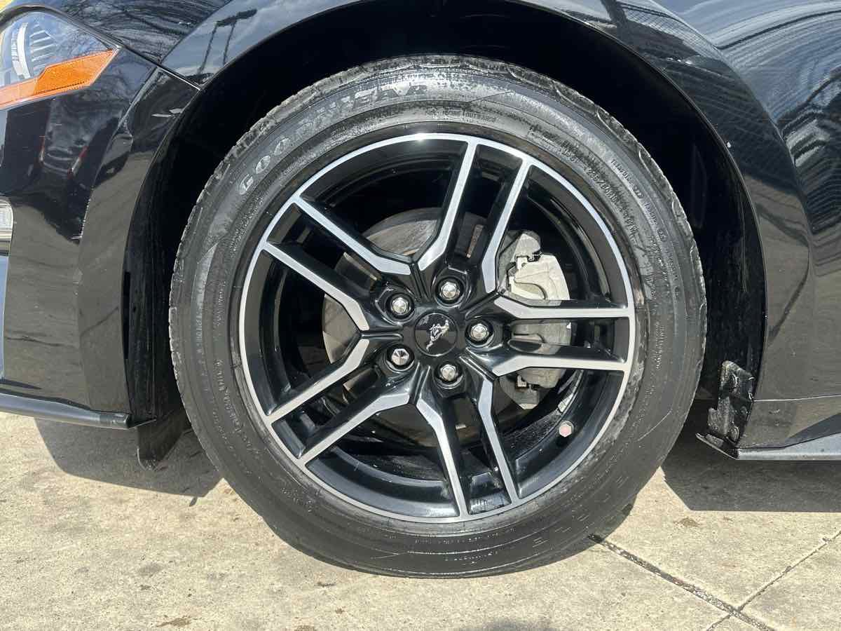 Used 2019 Ford Mustang Premium RWD image 9