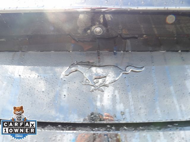 Certified 2025 Ford Mustang EcoBoost w/ Mustang Nite Pony Package image 17