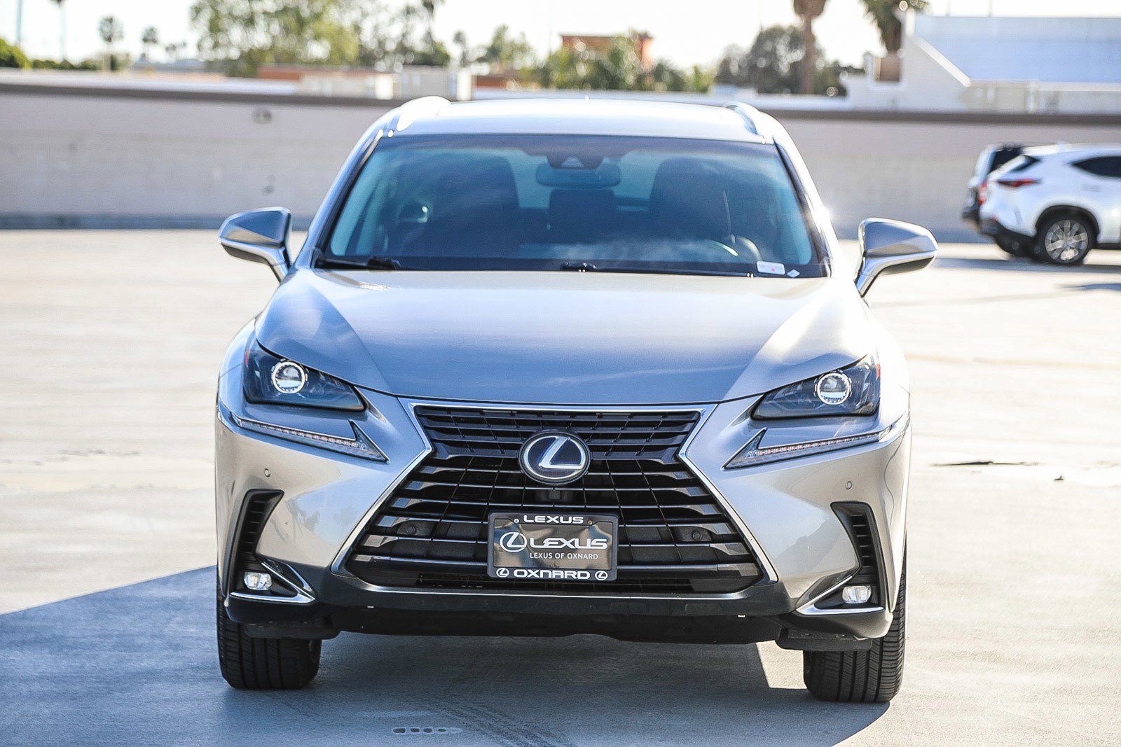 Used 2018 Lexus NX 300h AWD w/ Premium Package image 2