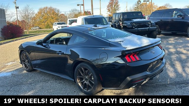 New 2026 Ford Mustang EcoBoost image 4