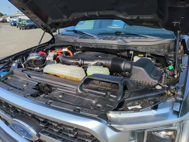 Certified 2023 Ford F150 Platinum w/ Equipment Group 701A High AWD/4WD image 37