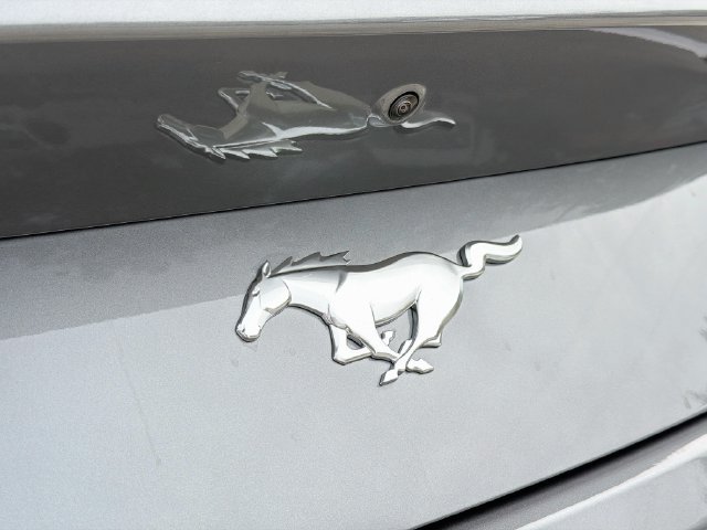 New 2026 Ford Mustang Coupe RWD image 14