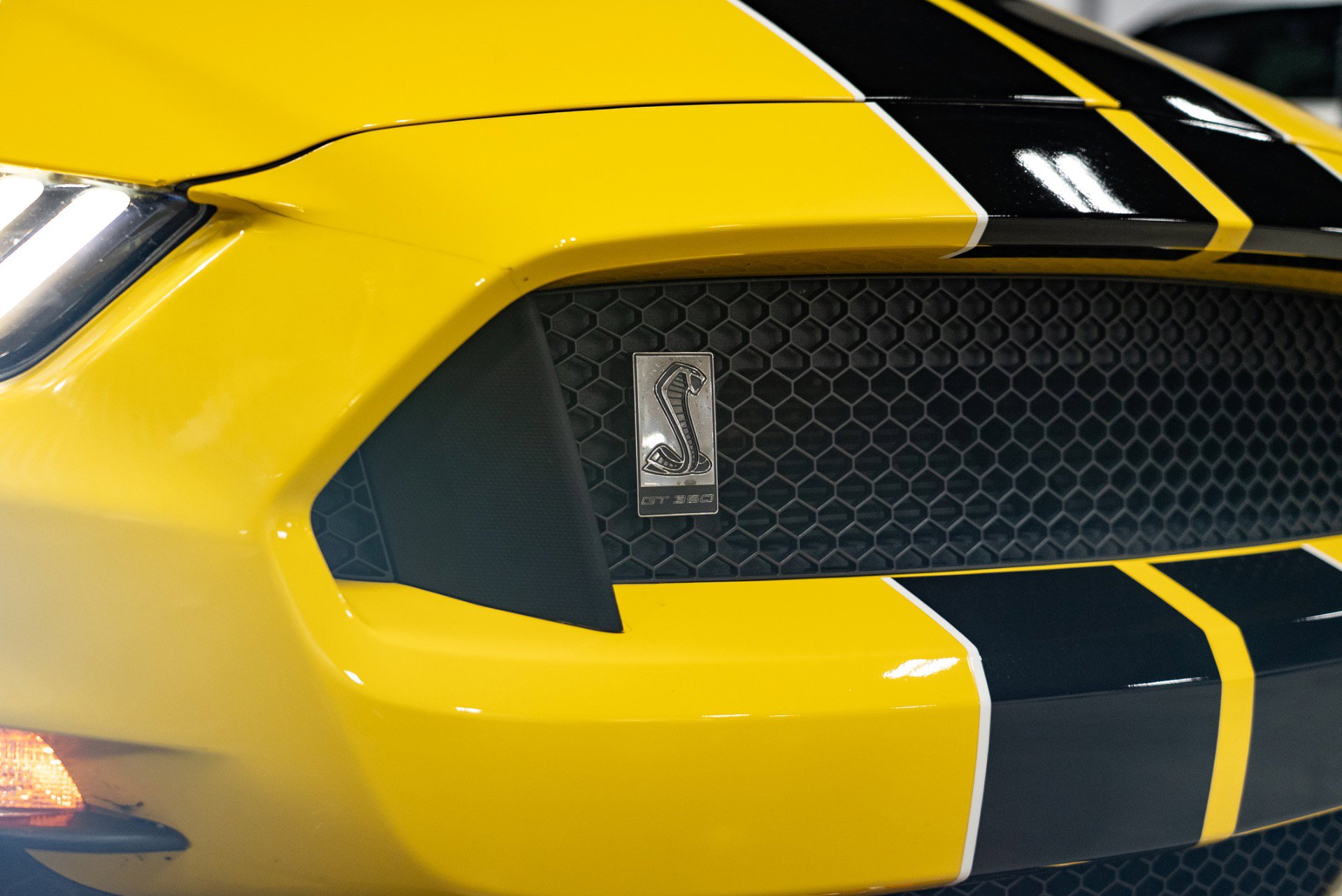 Used 2016 Ford Mustang Shelby GT350 w/ Track Package image 17