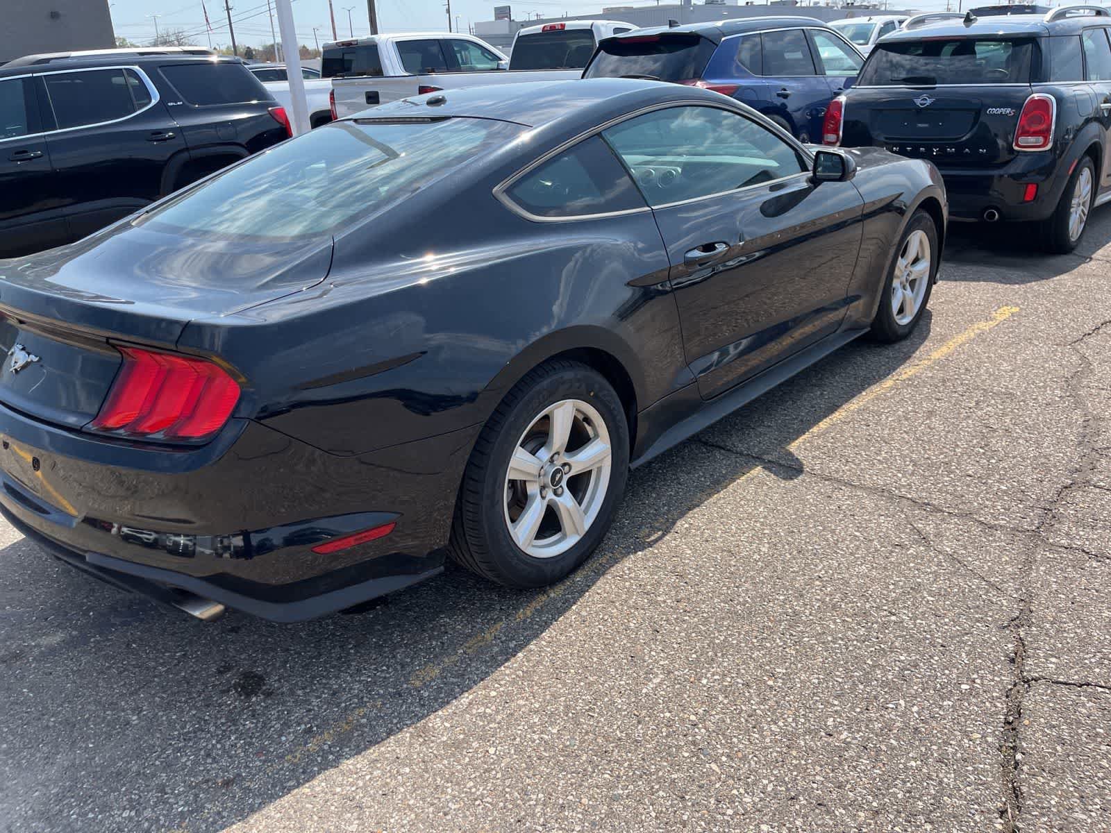 Used 2019 Ford Mustang Coupe RWD image 15