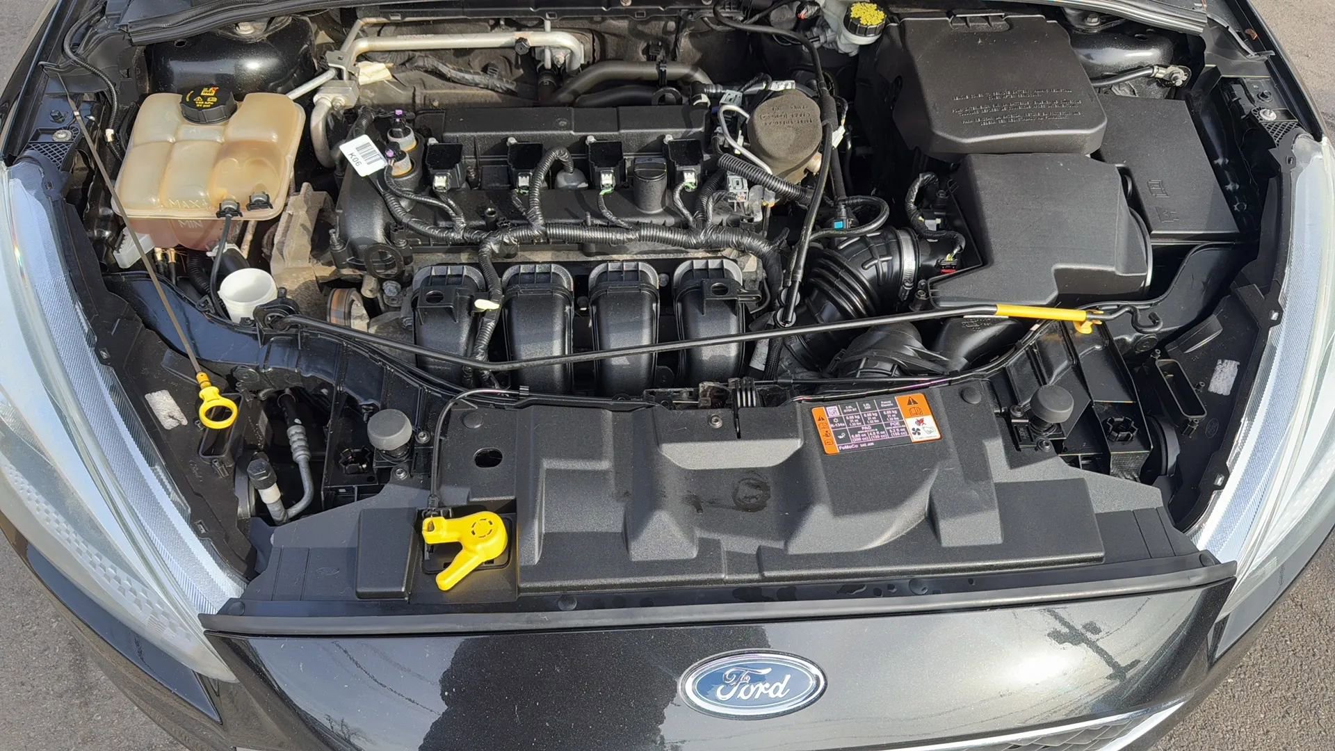 Used 2015 Ford Focus SE w/ SE Sport Package image 24