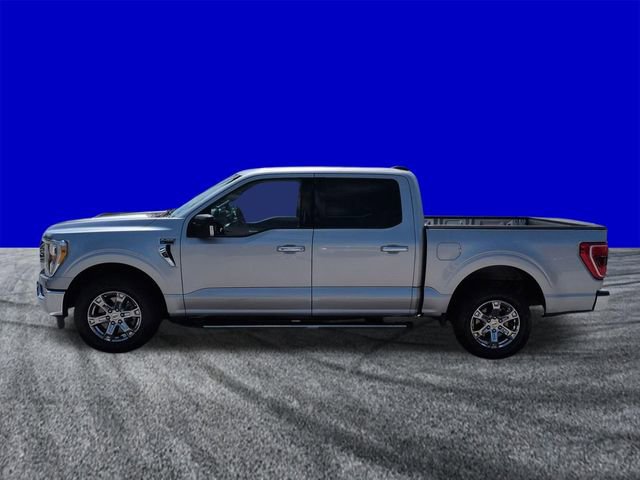 Used 2021 Ford F150 XLT w/ Equipment Group 302A High image 7