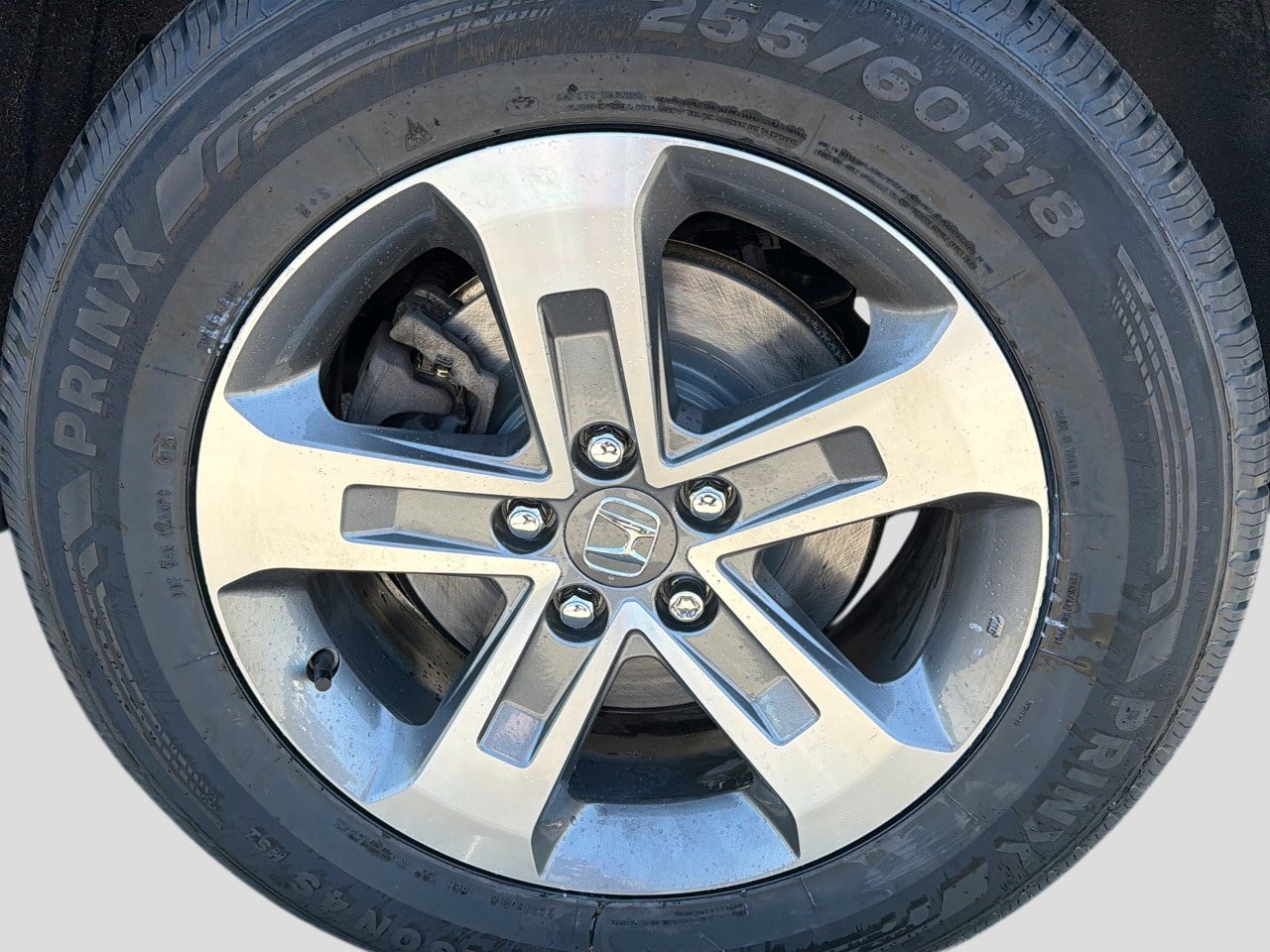 Used 2025 Honda Pilot EX-L image 14