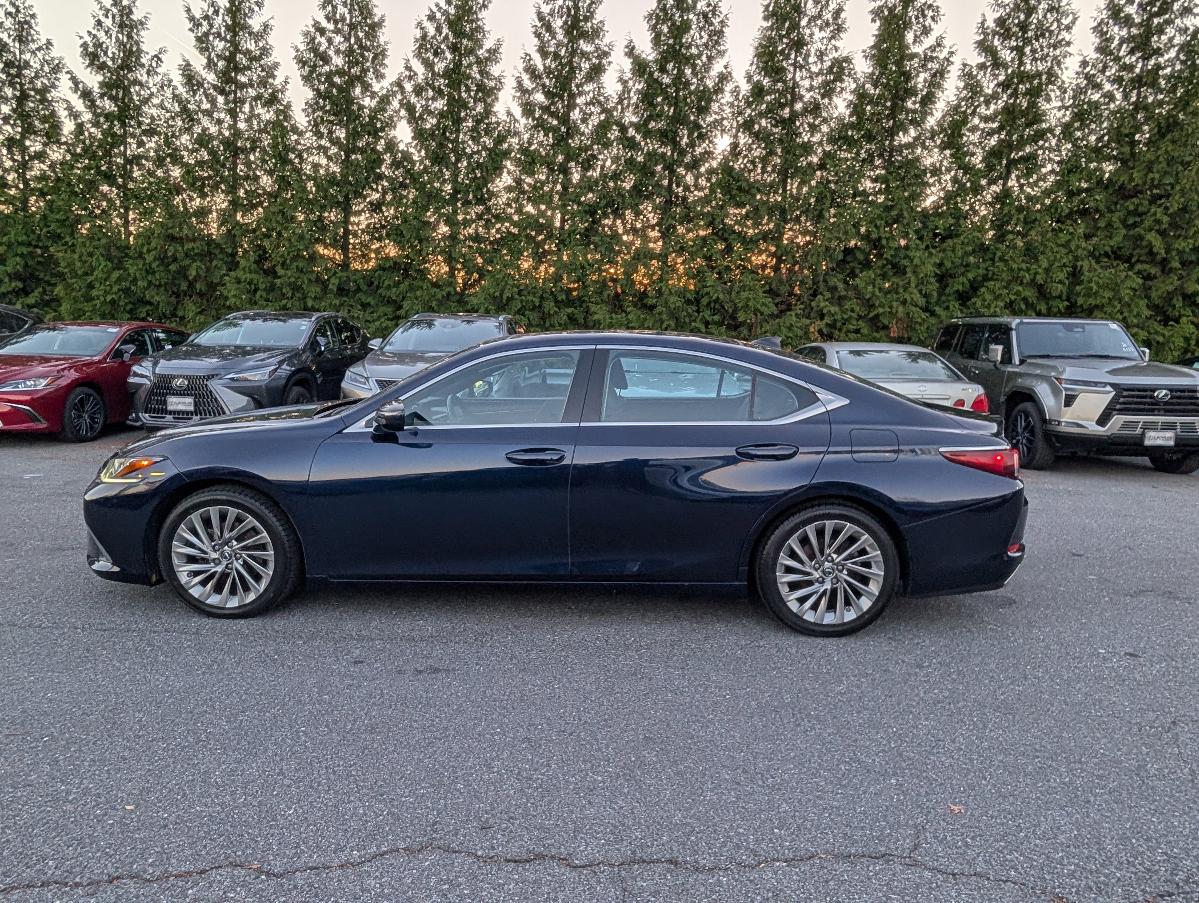 Certified 2019 Lexus ES 350 w/ Accessory Package image 6