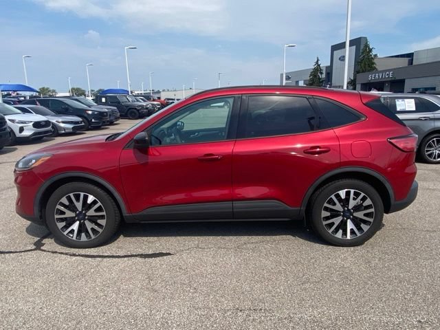 Used 2020 Ford Escape SE Sport AWD/4WD image 7